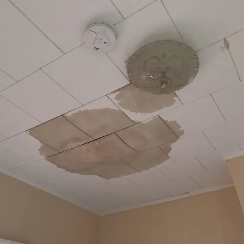 Ceiling Water Damage Repair in Pembina County, ND