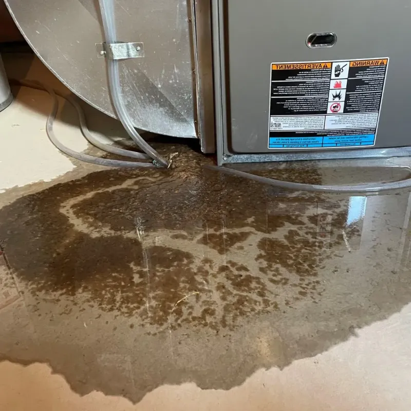 Pipe Burst and Leak Restoration in Pembina County, ND